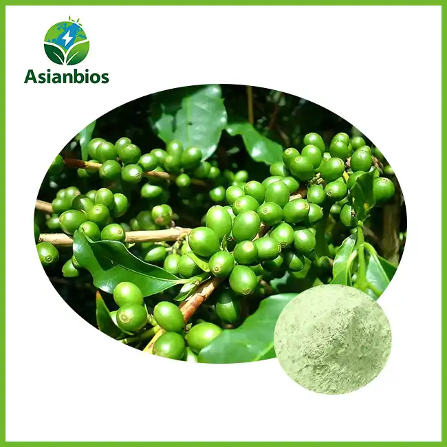 Pure Green Coffee Extract Powder